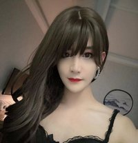 Qiqi - Transsexual escort in Guangzhou