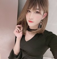 Qiqi - Transsexual escort in Guangzhou