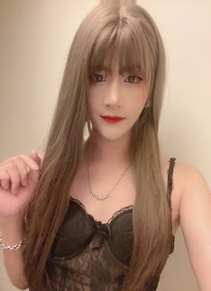 Qiqi - Transsexual escort in Guangzhou Photo 14 of 16