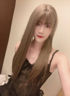Qiqi - Transsexual escort in Guangzhou Photo 15 of 16