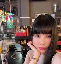 Qtam - escort in Jeddah