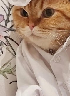 Qtr - Transsexual escort in Doha Photo 3 of 4