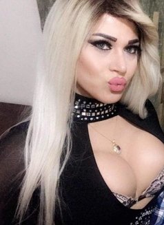 Queen Amar - Dominadora transexual in Doha Photo 1 of 8