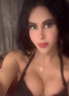 queen annabelle - Transsexual escort in Beirut Photo 25 of 30