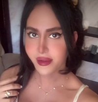 queen annabelle - Transsexual escort in Beirut