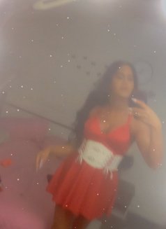 queen annabelle - Transsexual escort in Beirut Photo 28 of 29