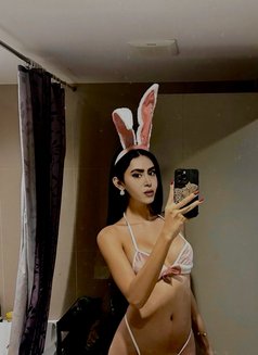 queen annabelle - Acompañantes transexual in Beirut Photo 28 of 28