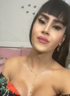 queen annabelle - Transsexual escort in Beirut Photo 29 of 30