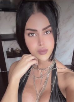queen annabelle - Transsexual escort in Beirut Photo 24 of 30