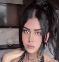 queen annabelle - Transsexual escort in Beirut Photo 25 of 26