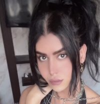 queen annabelle - Acompañantes transexual in Beirut Photo 26 of 26