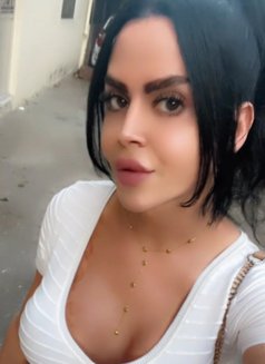 queen annabelle - Transsexual escort in Beirut Photo 30 of 30