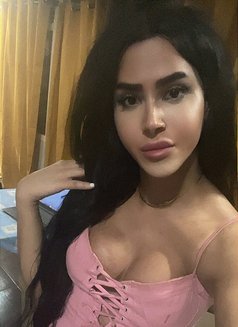 queen annabelle - Acompañantes transexual in Beirut Photo 24 of 28