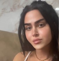 queen annabelle - Transsexual escort in Beirut