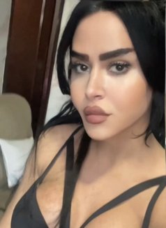 queen annabelle - Transsexual escort in Beirut Photo 25 of 30