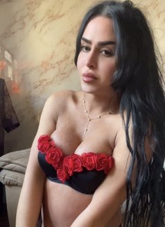 queen annabelle - Transsexual escort in Beirut Photo 13 of 30