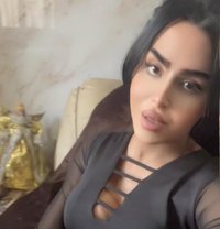 queen annabelle - Transsexual escort in Beirut