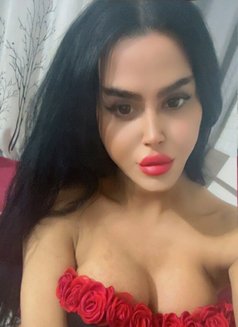 queen annabelle - Transsexual escort in Beirut Photo 6 of 30