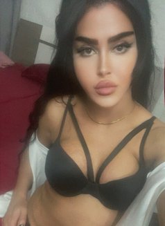 queen annabelle - Transsexual escort in Beirut Photo 10 of 30