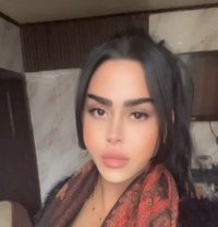 queen annabelle - Transsexual escort in Beirut