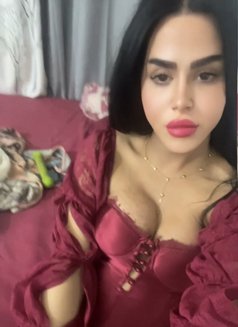 queen annabelle - Transsexual escort in Beirut Photo 26 of 30