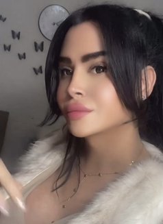 queen annabelle - Transsexual escort in Beirut Photo 28 of 30