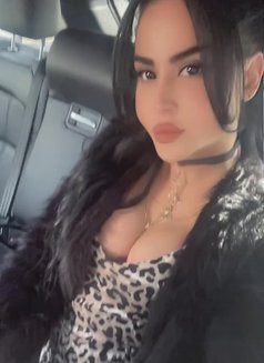 queen annabelle - Transsexual escort in Beirut Photo 30 of 30