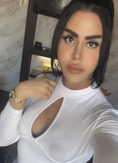 queen annabelle - Transsexual escort in Beirut Photo 20 of 30