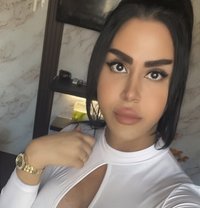 queen annabelle - Transsexual escort in Beirut