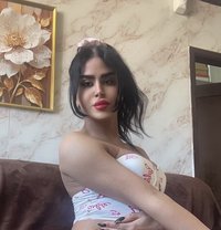 queen annabelle - Transsexual escort in Beirut