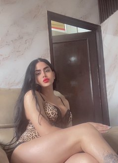 queen annabelle - Transsexual escort in Beirut Photo 29 of 30