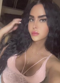 queen annabelle - Acompañantes transexual in Beirut Photo 28 of 30