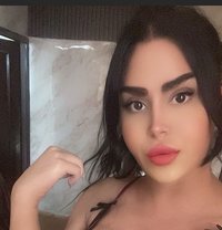 queen annabelle - Transsexual escort in Beirut