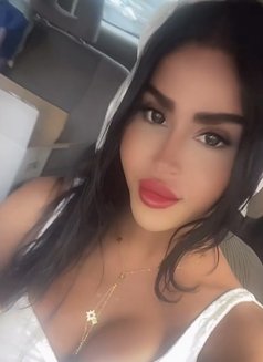 queen annabelle - Transsexual escort in Beirut Photo 29 of 30
