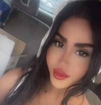 queen annabelle - Transsexual escort in Beirut