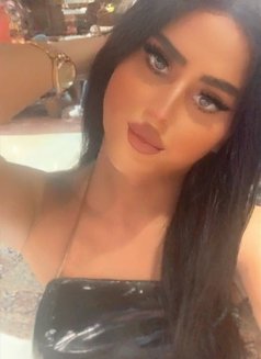 queen annabelle - Transsexual escort in Beirut Photo 15 of 25