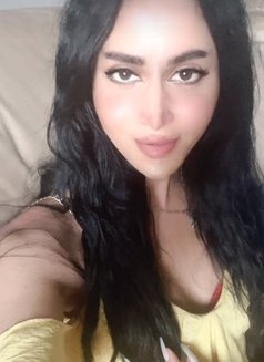 queen annabelle - Transsexual escort in Beirut Photo 23 of 28