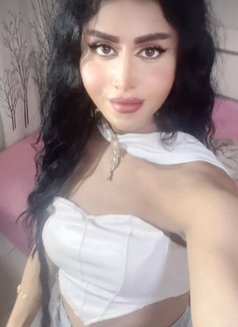 queen annabelle - Transsexual escort in Beirut Photo 28 of 28