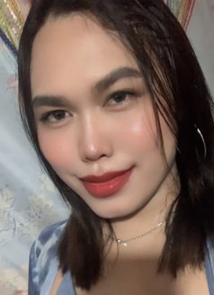 Queen Bee - Transsexual escort in Cebu City Photo 15 of 18