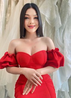 QUEEN BIG COCK JUST ARRIVED - Acompañantes transexual in Bangkok Photo 13 of 14