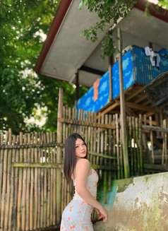 QUEEN BIG COCK JUST ARRIVED - Acompañantes transexual in Bangkok Photo 12 of 14
