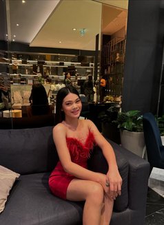 QUEEN BIG COCK JUST ARRIVED - Transsexual escort in Bangkok Photo 9 of 19