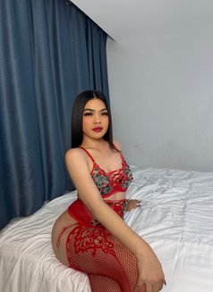 JENSEN (Just arrived Big cock) - Acompañantes transexual in Bangkok Photo 6 of 25