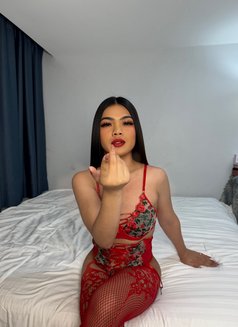 JENSEN (Just arrived Big cock) - Acompañantes transexual in Bangkok Photo 10 of 25