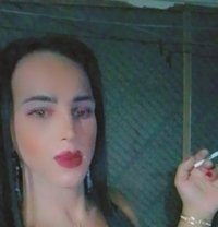 Queen Dal3 - Acompañantes transexual in Beirut