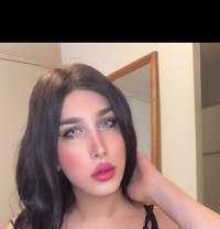 Queen Dana - Transsexual escort in Toronto