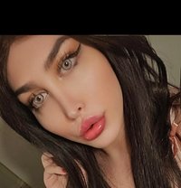 Queen Dana - Transsexual escort in Toronto
