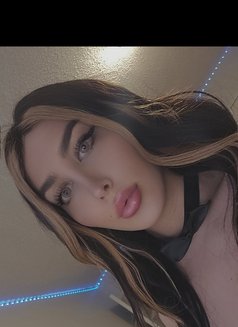 Queen Dana - Acompañantes transexual in Windsor Photo 8 of 9