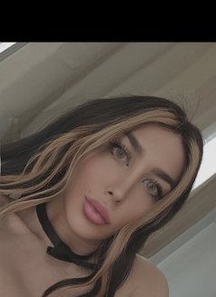 Queen Dana - Acompañantes transexual in Windsor Photo 9 of 9