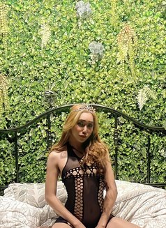 Deia Queen is real ladyboy 🇵🇭 - Transsexual escort in Dubai Photo 17 of 19